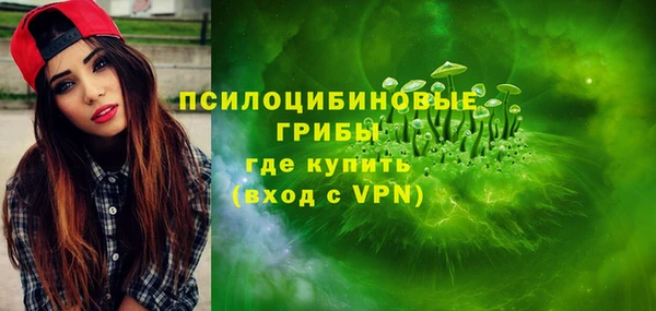 шишки Володарск