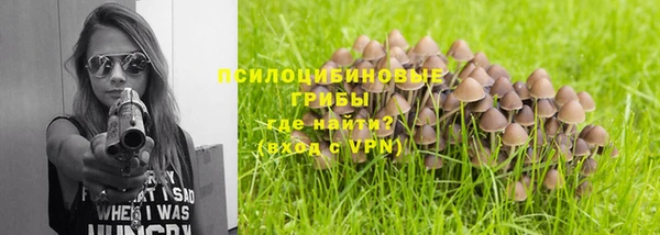 мет Белокуриха