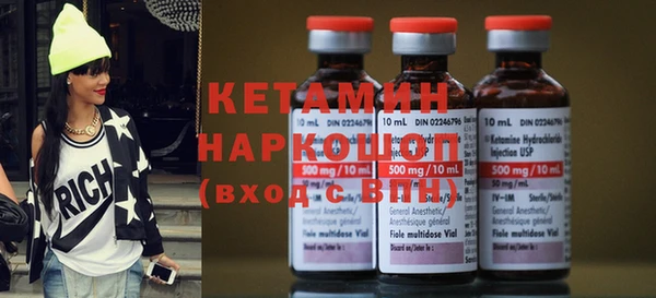 сатива Каменка