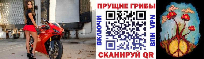 Псилоцибиновые грибы MAGIC MUSHROOMS  Боровичи 